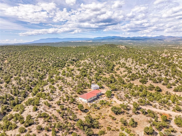 aerial view featuring a mountain view