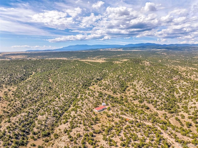 bird's eye view with a mountain view