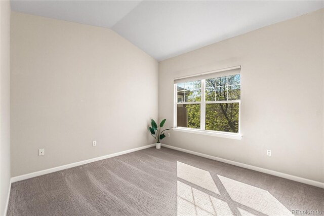 spare room with lofted ceiling, carpet floors, and baseboards