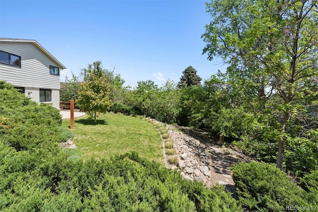 1931 Foothills Rd, Golden, CO 80401 - view of green lawn