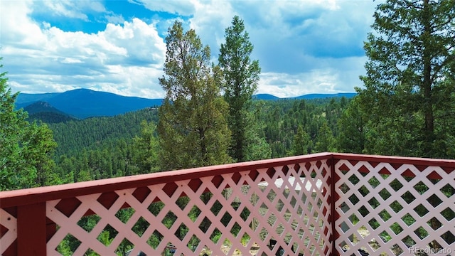 64 Zip Ln, Bailey, CO 80421 - photo 1