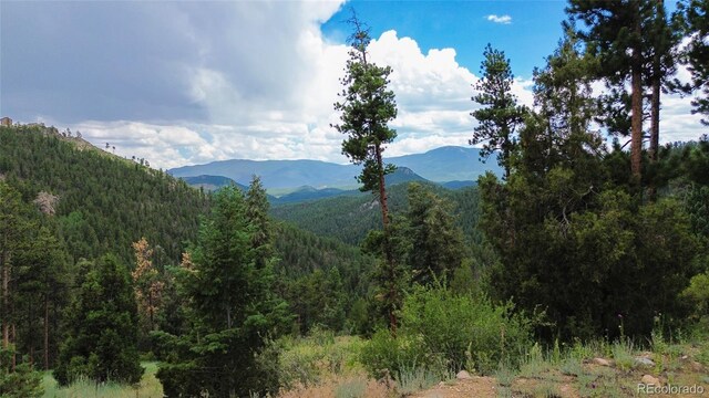 64 Zip Ln, Bailey, CO 80421 - photo 2