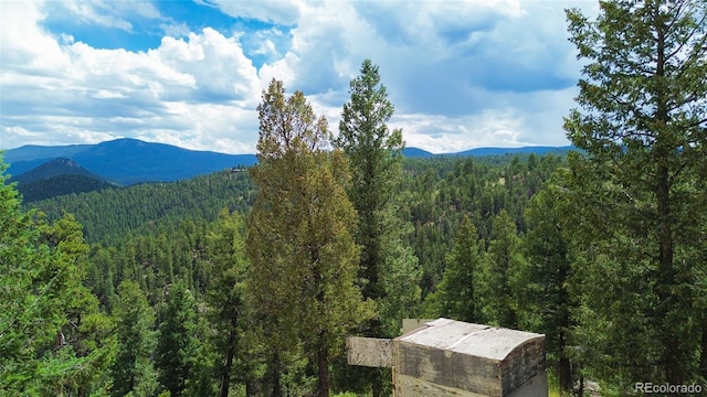 64 Zip Ln, Bailey, CO 80421 - photo 5