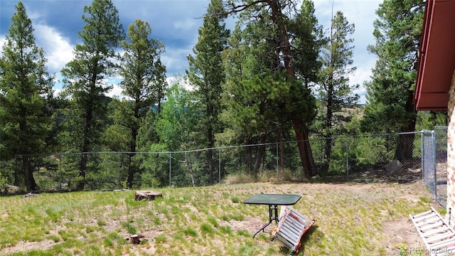 64 Zip Ln, Bailey, CO 80421 - photo 6