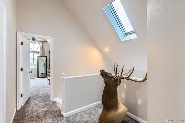 220 Wark Ave, Berthoud, CO 80513 - detailed view of a skylight, carpet flooring, and baseboards