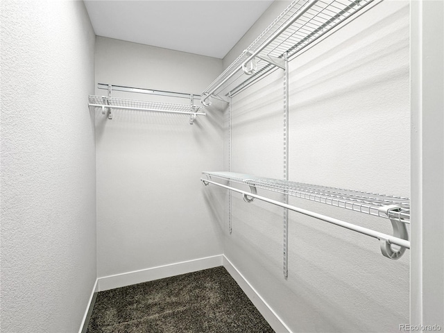 spacious closet featuring dark colored carpet