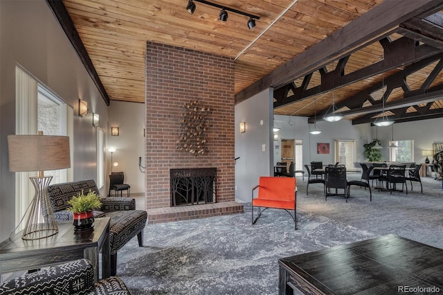 3465 S Poplar St Unit 506, Denver, CO 80224 - carpeted living room featuring wooden ceiling, a brick fireplace, and rail lighting