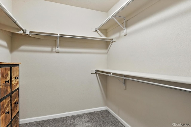 6292 Kilmer Loop Unit 201, Golden, CO 80403