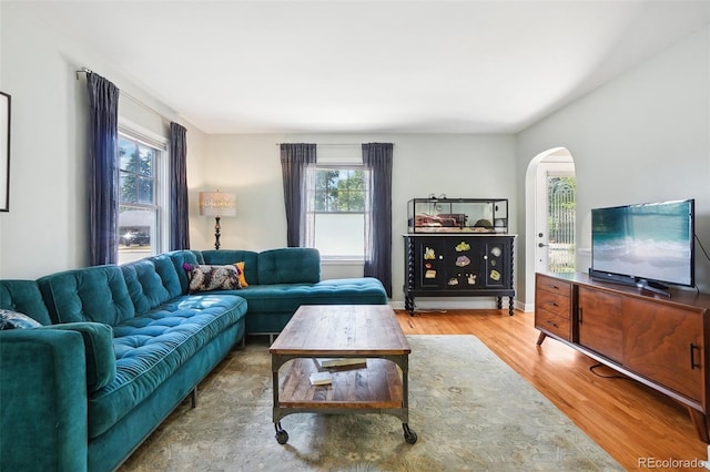 1100 W Mulberry St, Fort Collins, CO 80521 - living room with arched walkways, wood finished floors, and a healthy amount of sunlight