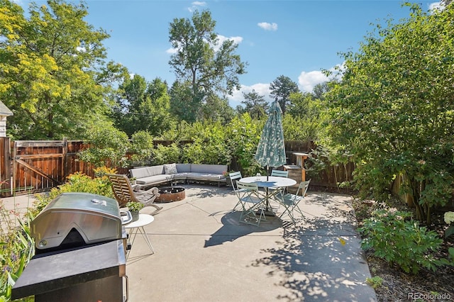 1100 W Mulberry St, Fort Collins, CO 80521 - view of patio with area for grilling, a fenced backyard, and an outdoor living space with a fire pit