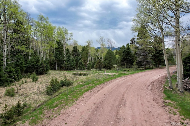 2664 Grojean Dr, Fort Garland, CO 81133 - photo 4