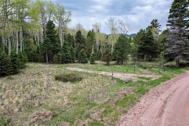 2664 Grojean Dr, Fort Garland, CO 81133 - photo 5