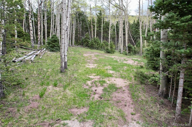 2664 Grojean Dr, Fort Garland, CO 81133 - photo 6