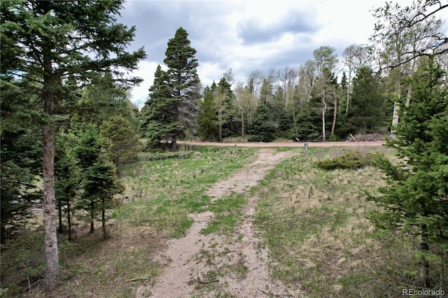 2664 Grojean Dr, Fort Garland, CO 81133 - photo 7
