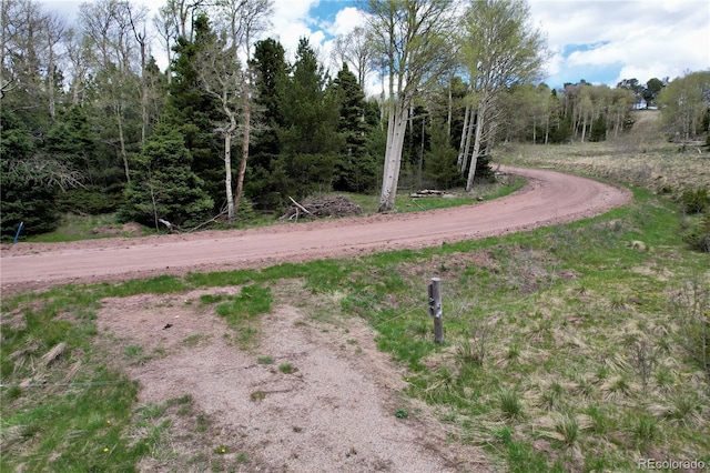 2664 Grojean Dr, Fort Garland, CO 81133 - photo 8