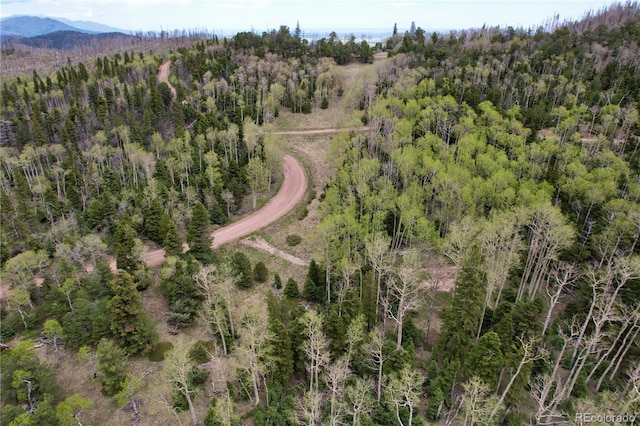 2664 Grojean Dr, Fort Garland, CO 81133 - photo 15
