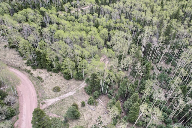 2664 Grojean Dr, Fort Garland, CO 81133 - photo 17