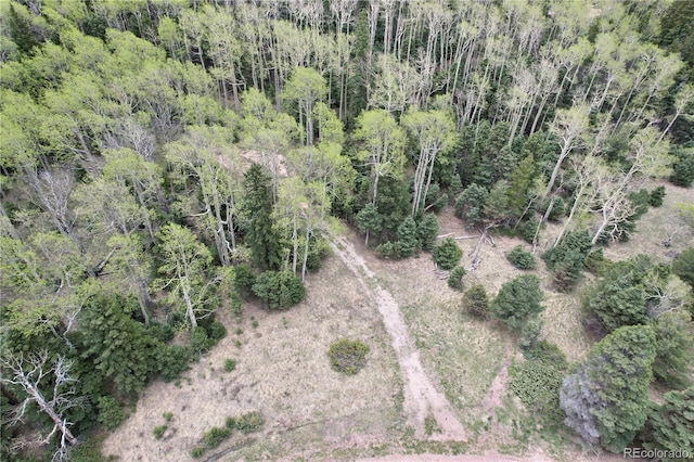 2664 Grojean Dr, Fort Garland, CO 81133 - photo 21