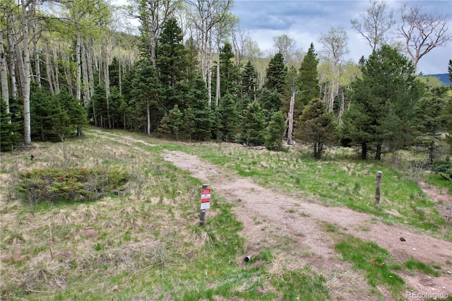 2664 Grojean Dr, Fort Garland, CO 81133 - photo 22