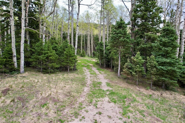 2664 Grojean Dr, Fort Garland, CO 81133 - photo 23