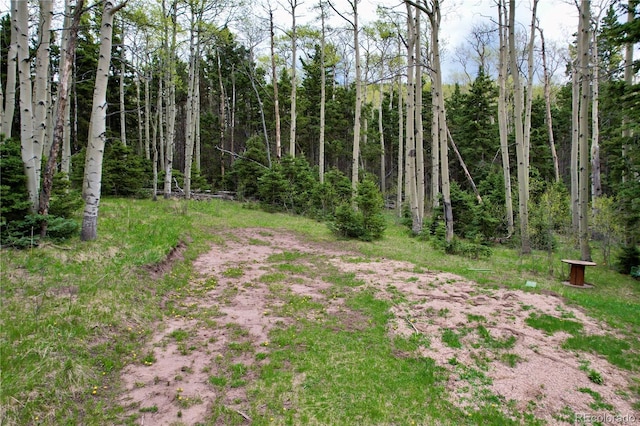 2664 Grojean Dr, Fort Garland, CO 81133 - photo 24