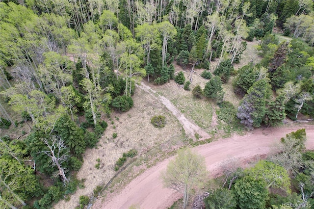 2664 Grojean Dr, Fort Garland, CO 81133 - photo 25