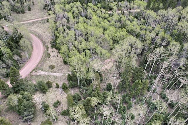 2664 Grojean Dr, Fort Garland, CO 81133 - photo 26
