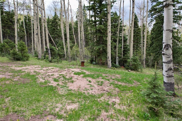 2664 Grojean Dr, Fort Garland, CO 81133 - photo 32