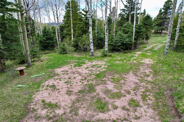 2664 Grojean Dr, Fort Garland, CO 81133 - photo 33