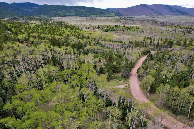 2664 Grojean Dr, Fort Garland, CO 81133 - photo 34