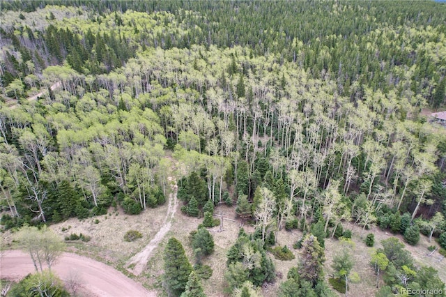 2664 Grojean Dr, Fort Garland, CO 81133 - photo 36