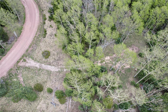 2664 Grojean Dr, Fort Garland, CO 81133 - photo 37