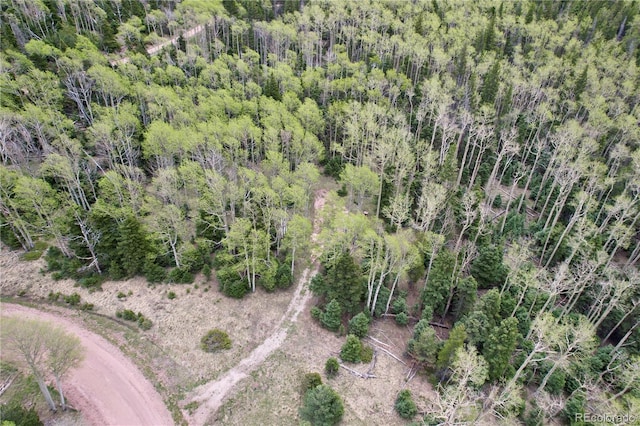 2664 Grojean Dr, Fort Garland, CO 81133 - photo 39