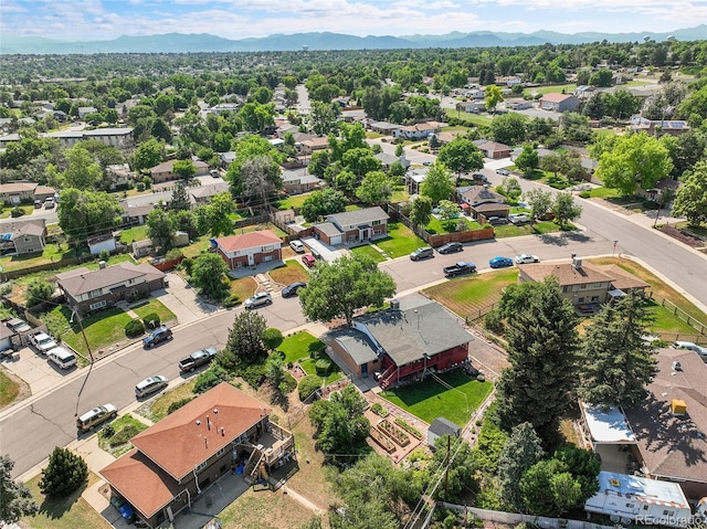 9708 Covey Ct, Northglenn, CO 80260 - photo 47