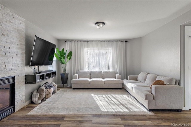 living room featuring a fireplace and wood finished floors