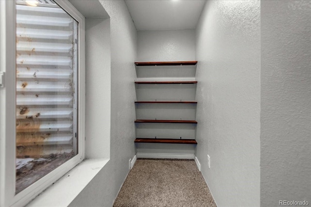 spacious closet with carpet floors