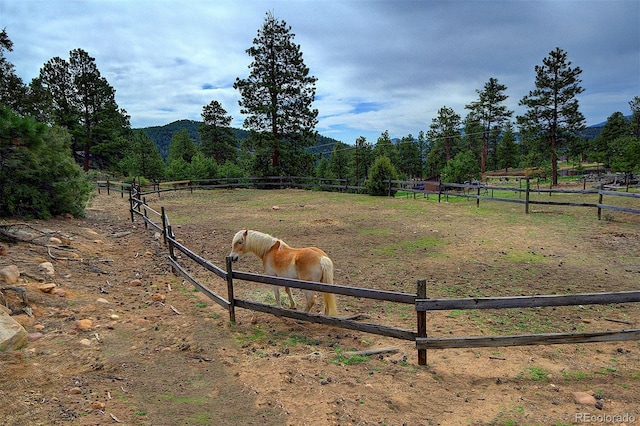 114 Star Ln, Bailey, CO 80421 - view of yard featuring a view of rural / pastoral area, an enclosed riding area, and fence
