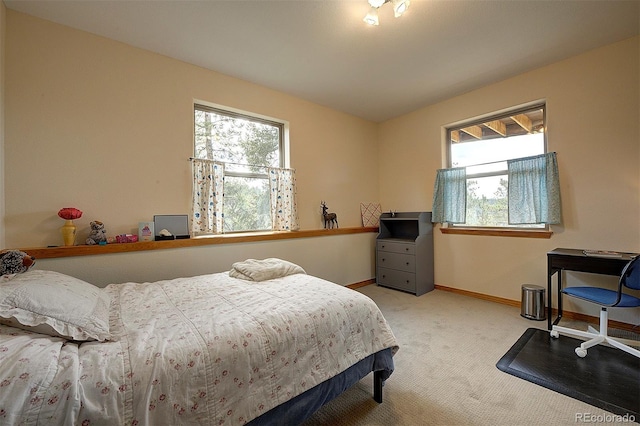 114 Star Ln, Bailey, CO 80421 - bedroom with multiple windows, light carpet, and baseboards