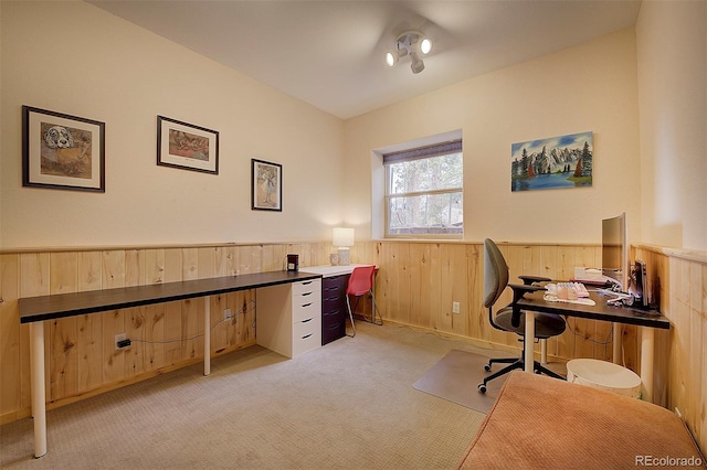 114 Star Ln, Bailey, CO 80421 - office area with wainscoting, wooden walls, and light carpet