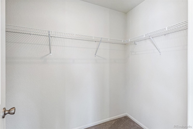 13372 E 110th Way, Commerce City, CO 80022 - photo 25