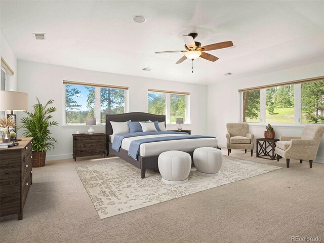 7197 Timbers Dr, Evergreen, CO 80439 - photo 13