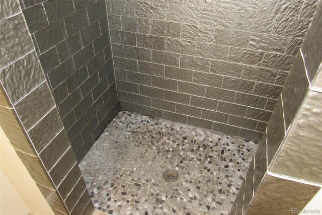 2517 S Genoa St, Aurora, CO 80013 - bathroom featuring a tile shower