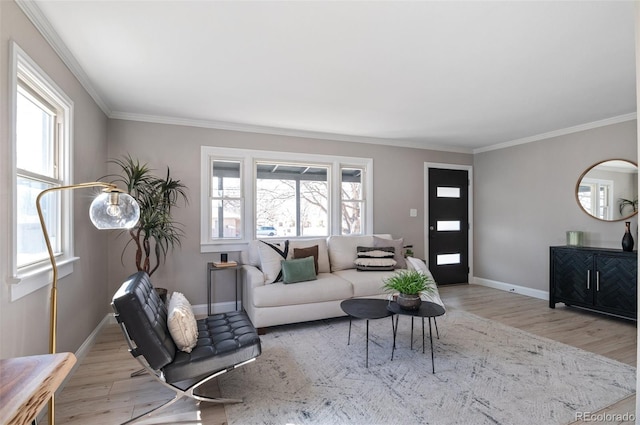 living area featuring baseboards, crown molding, and light wood finished floors