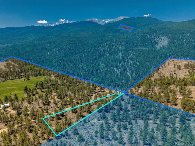Overlook Dr, Buena Vista, CO 81211