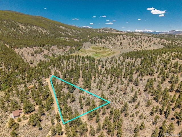 Overlook Dr, Buena Vista, CO 81211