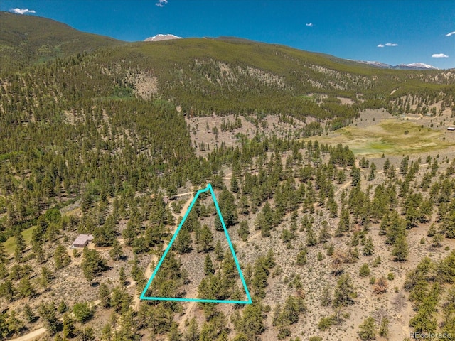 Overlook Dr, Buena Vista, CO 81211