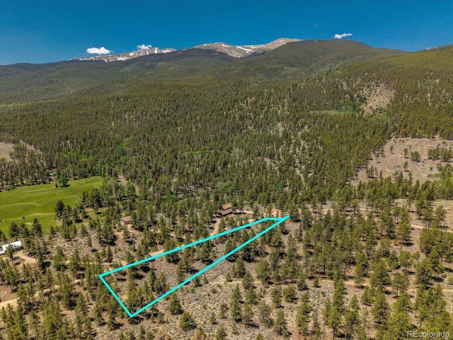 Overlook Dr, Buena Vista, CO 81211
