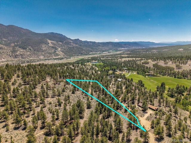 Overlook Dr, Buena Vista, CO 81211