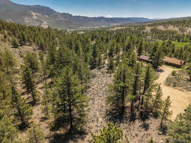 Overlook Dr, Buena Vista, CO 81211