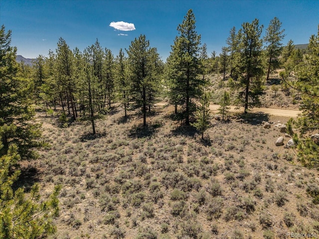 Overlook Dr, Buena Vista, CO 81211